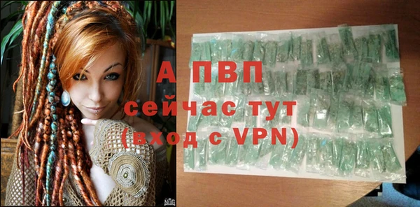 apvp Ростов