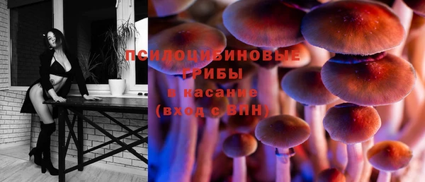 apvp Ростов