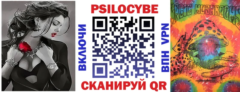 дарнет шоп  Кировград  Псилоцибиновые грибы MAGIC MUSHROOMS 
