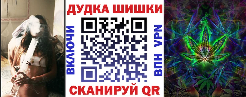 где найти наркотики  Кировград  Бошки марихуана THC 21% 